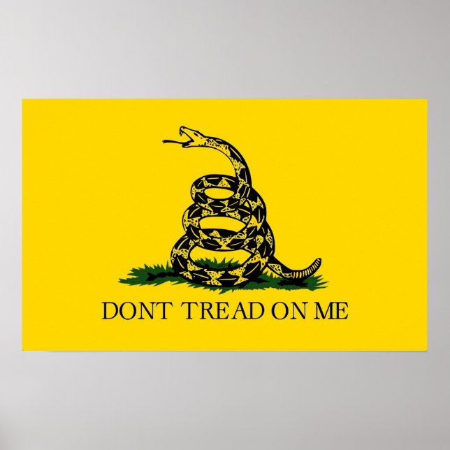 Dont Tread On Me - Gadsden Flag Poster (Front)