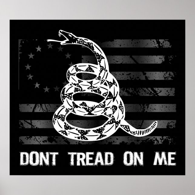 Dont Tread On Me II Poster (Front)