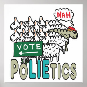 Don't Vote Polietics Poster