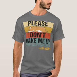 Dont Wake Me Up Funny Sleeping Granny Corgi T-Shirt