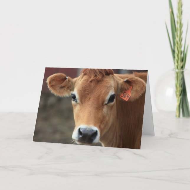 Don't you think I'm Pretty Jersey Cow Card (Front)