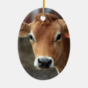 Don't you think I'm Pretty Jersey Cow Ceramic Ornament
