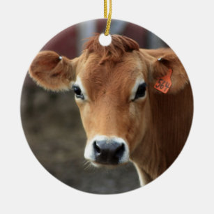 Don't you think I'm Pretty Jersey Cow Ceramic Ornament