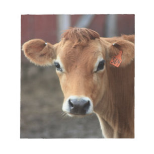 Don't you think I'm Pretty Jersey Cow Notepad