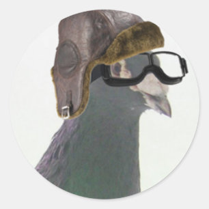 doo the pigeon cropped1.jpg classic round sticker