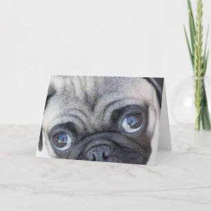 Doobie's Eyes Card