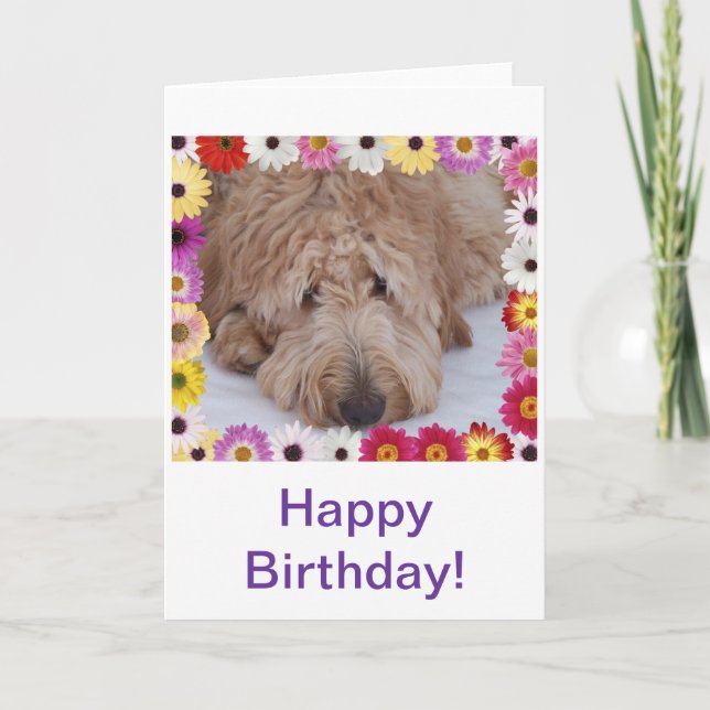 Doodle Dog en Fleurs colorées Carte Anniversaire (Devant)