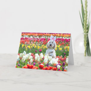 Doodle Happy Easter Card