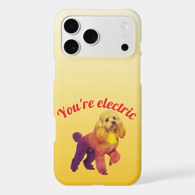 doodle phone case iPhone 17  (Verso)