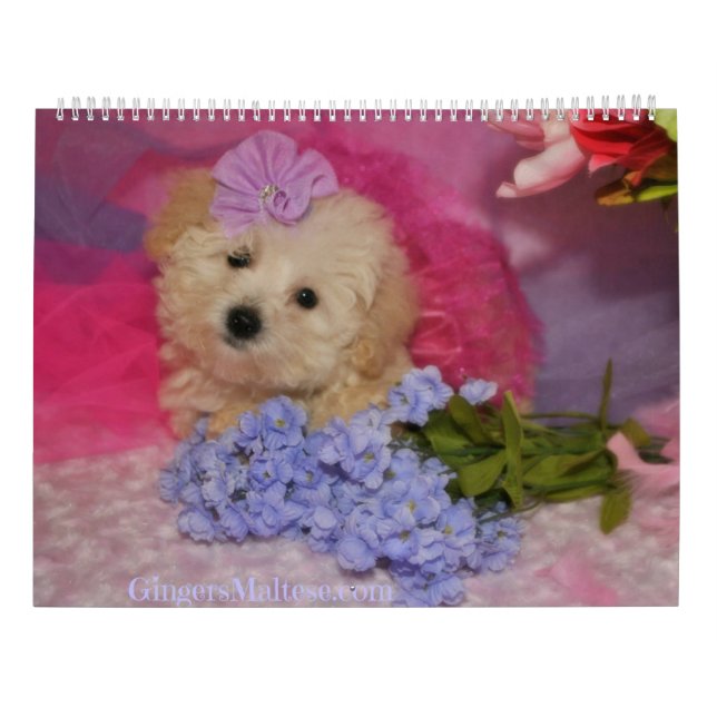 Doodle Puppy Dog Calendar (Back)