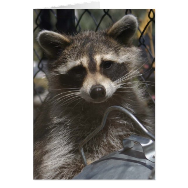 doodles 759 (Devant)