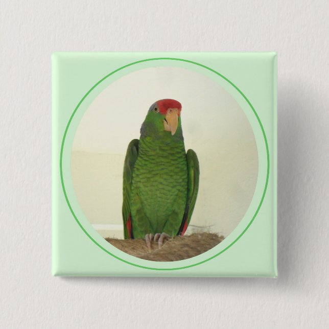 Dooley 1 2 inch square button (Front)