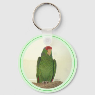 Dooley 1 keychain