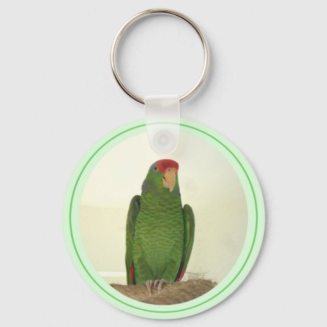 Dooley 1 keychain (Front)