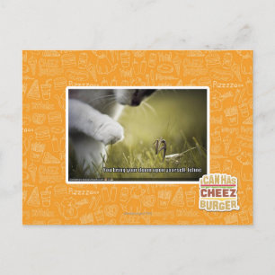 Doom upon yourself postcard