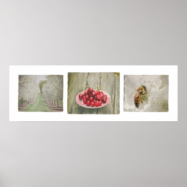 Door County Cherry Trio Poster (Front)