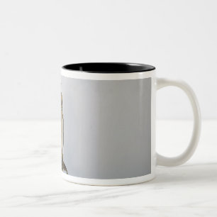 Door handles, 1898-99 Two-Tone coffee mug