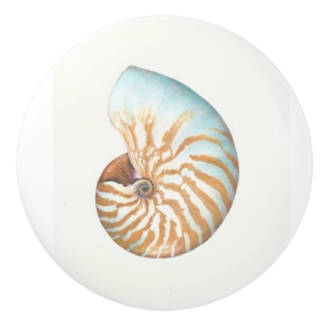 Door Knobs: Nautilus Ceramic Knob (Front)