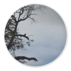 DOOR PULL CERAMIC STYLE DESIGN