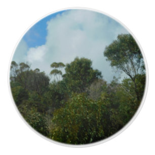 DOOR PULL CERAMIC STYLE DESIGN