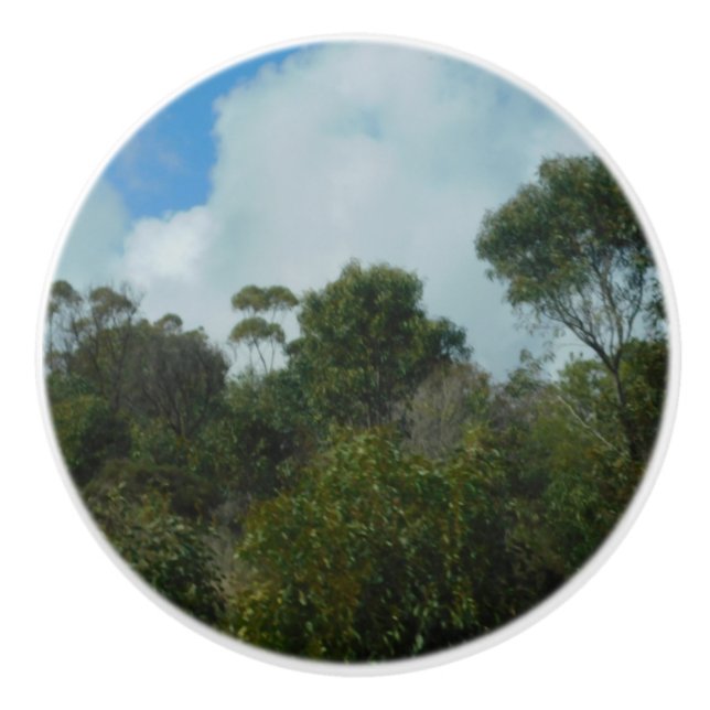 DOOR PULL CERAMIC STYLE DESIGN (Front)