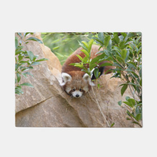 Doormat Photo red panda , animals 0233.