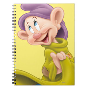 Dopey 3 notebook