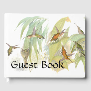 D'or Hummingbird Birds Wildlife Nest Livre d'invité