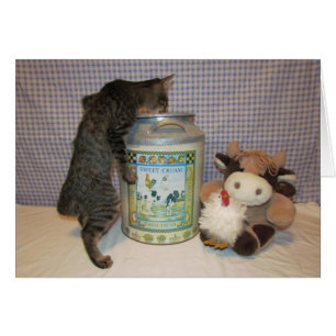 Dora - the Cream of the Crop