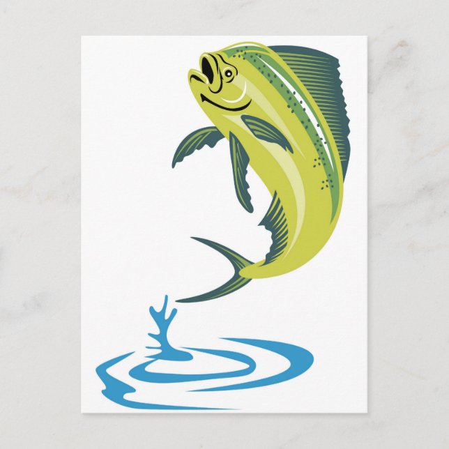 Dorado dolphin fish or mahi mahi postcard (Front)