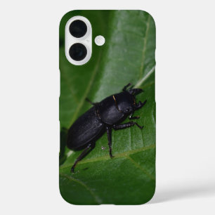 Dorcus parallelipipedus , the lesser stag beetle iPhone 16 case