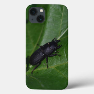 Dorcus parallelipipedus , the lesser stag beetle iPhone 13 case
