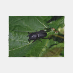 Dorcus parallelipipedus , the lesser stag beetle fleece blanket