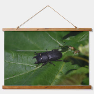 Dorcus parallelipipedus , the lesser stag beetle hanging tapestry