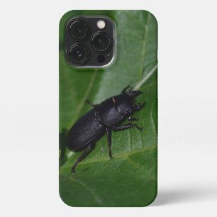 Dorcus parallelipipedus , the lesser stag beetle iPhone 13 pro case
