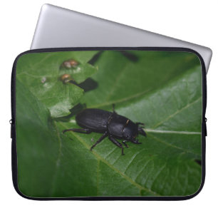 Dorcus parallelipipedus , the lesser stag beetle laptop sleeve