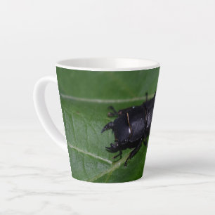 Dorcus parallelipipedus , the lesser stag beetle latte mug