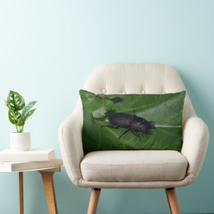 Dorcus parallelipipedus , the lesser stag beetle lumbar pillow
