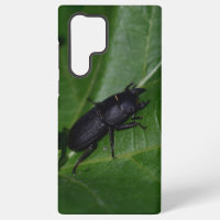 Dorcus parallelipipedus , the lesser stag beetle