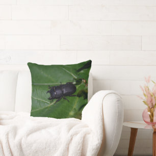 Dorcus parallelipipedus , the lesser stag beetle throw pillow
