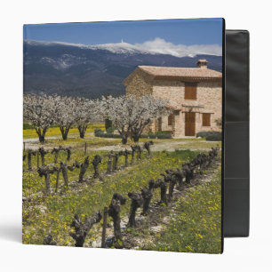 Dormant vineyard, fruit blossoms, stone house, binder