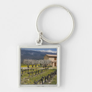 Dormant vineyard, fruit blossoms, stone house, keychain
