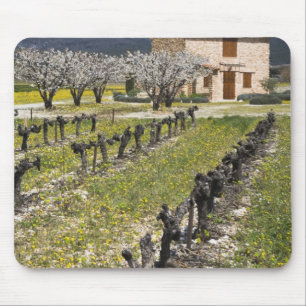 Dormant vineyard, fruit blossoms, stone house, mouse pad