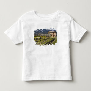 Dormant vineyard, fruit blossoms, stone house, toddler t-shirt
