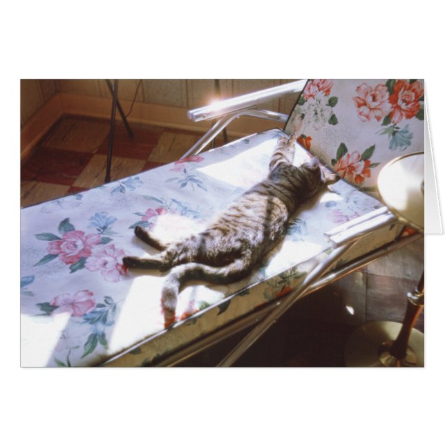 Dormir sur Chaise Lounge Retro Kitten Photo (Devant horizontal)
