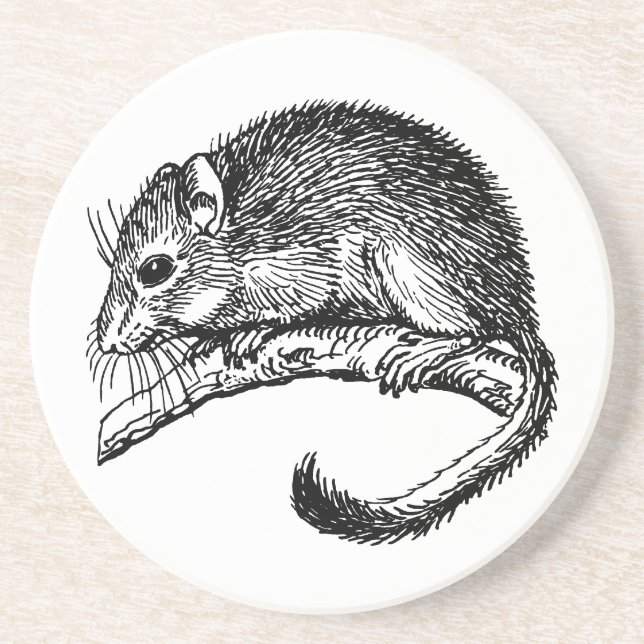 Dormouse Coaster (Front)