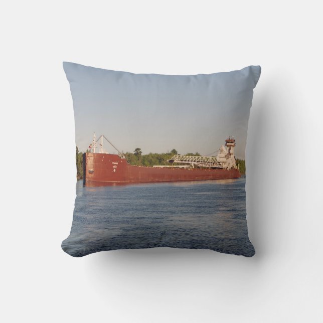 Dorothy Ann & Pathfinder pillow (Front)