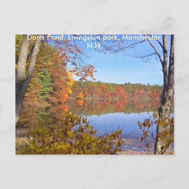 Dorrs Pond in the Fall-3, Dorrs Pond, Livingsto... Postcard (Front)