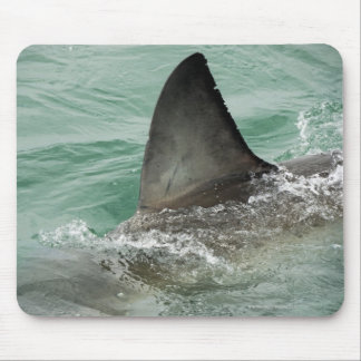 Dorsal aileron of a Great White shark Mouse Pad