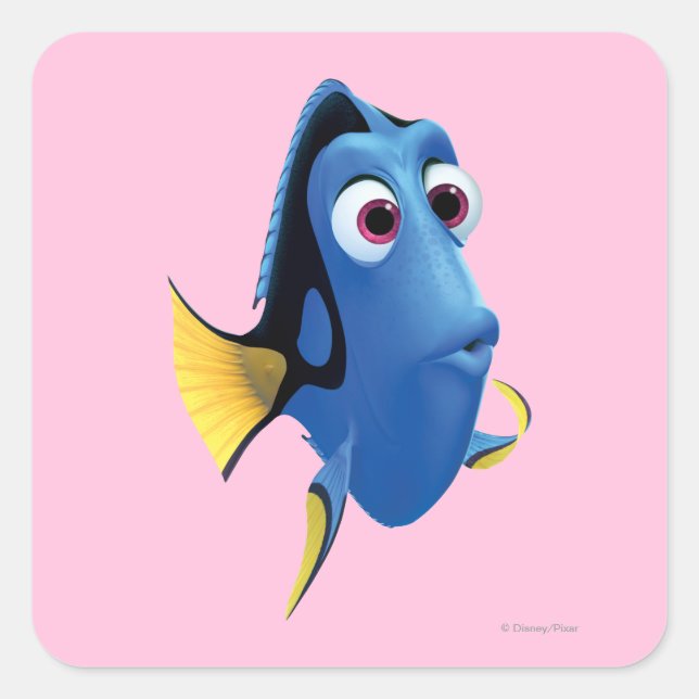 Dory 4 square sticker (Front)